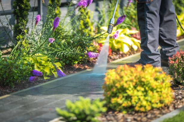 Best House Exterior Washing  in Casselberry, FL